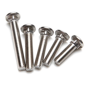 Carriage Bolt Manufacturers in Delhi